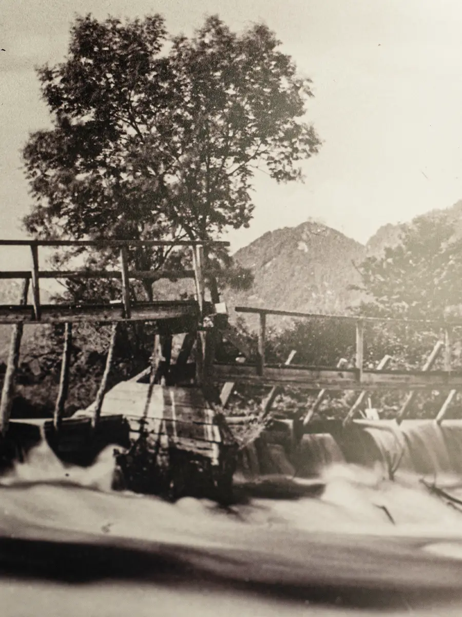 Genossenschaft & Satzung