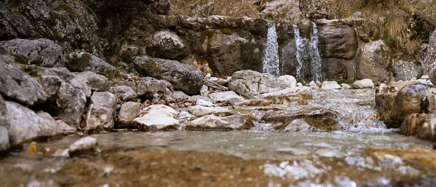 Energiekompetenz aus der Region - für die Region
